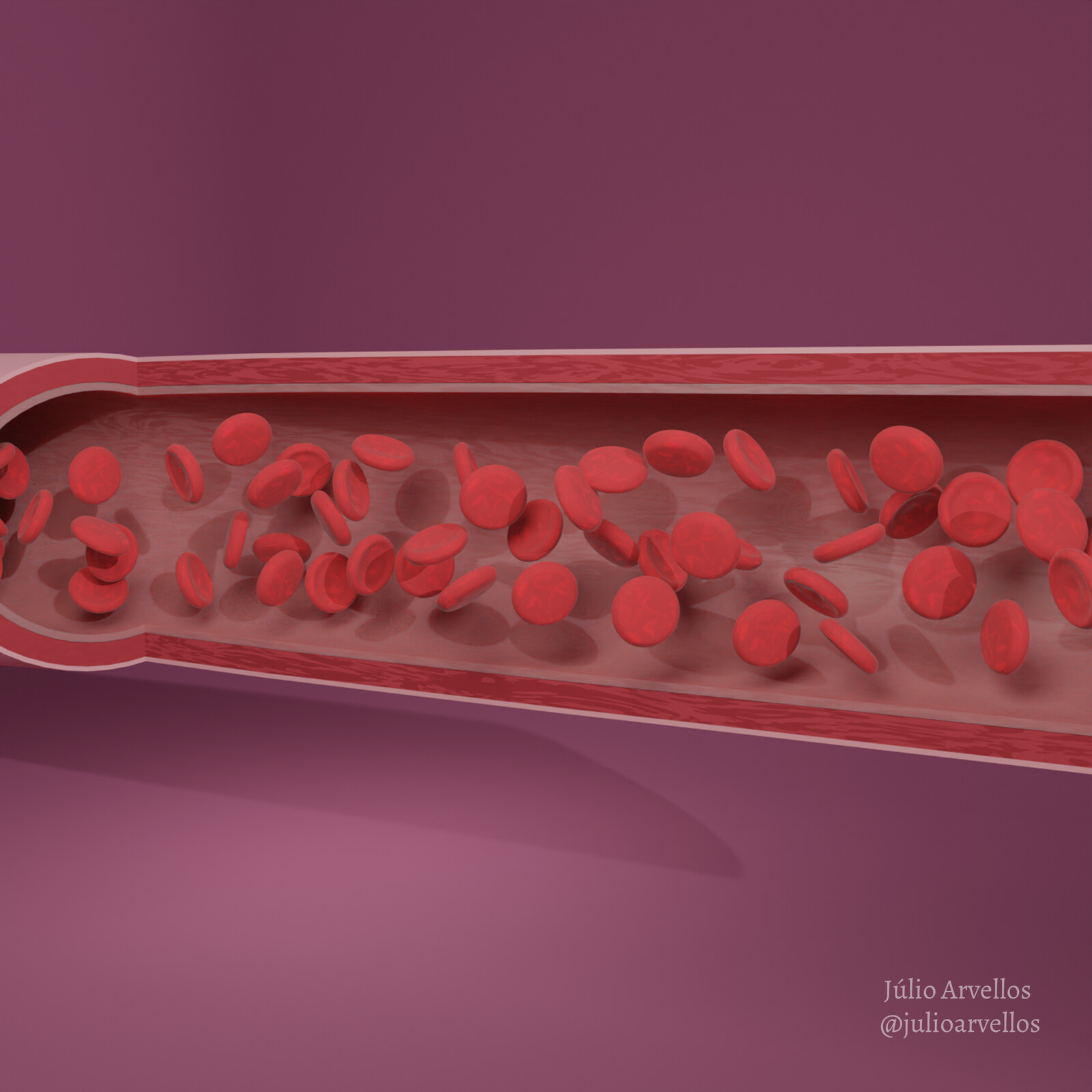 Healthy artery