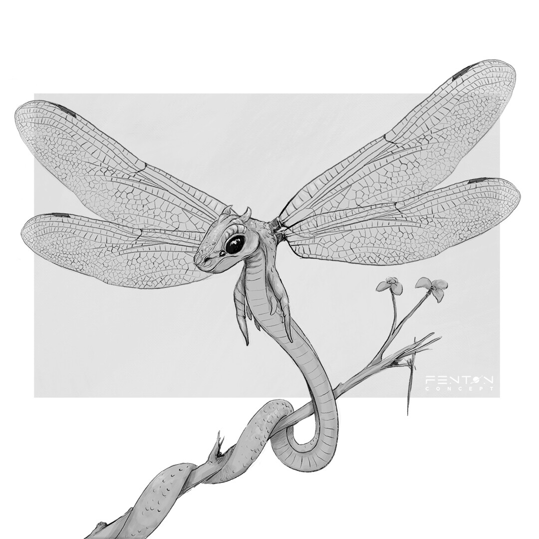 The Tiny Faerie Dragon