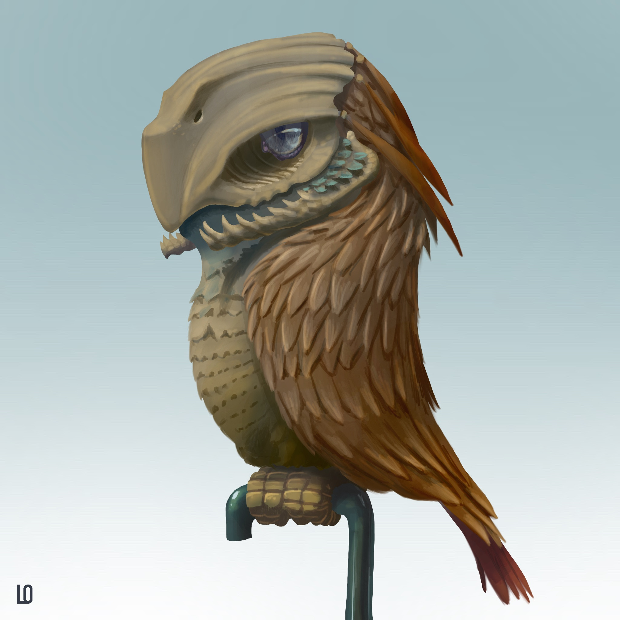 Headbone Owl