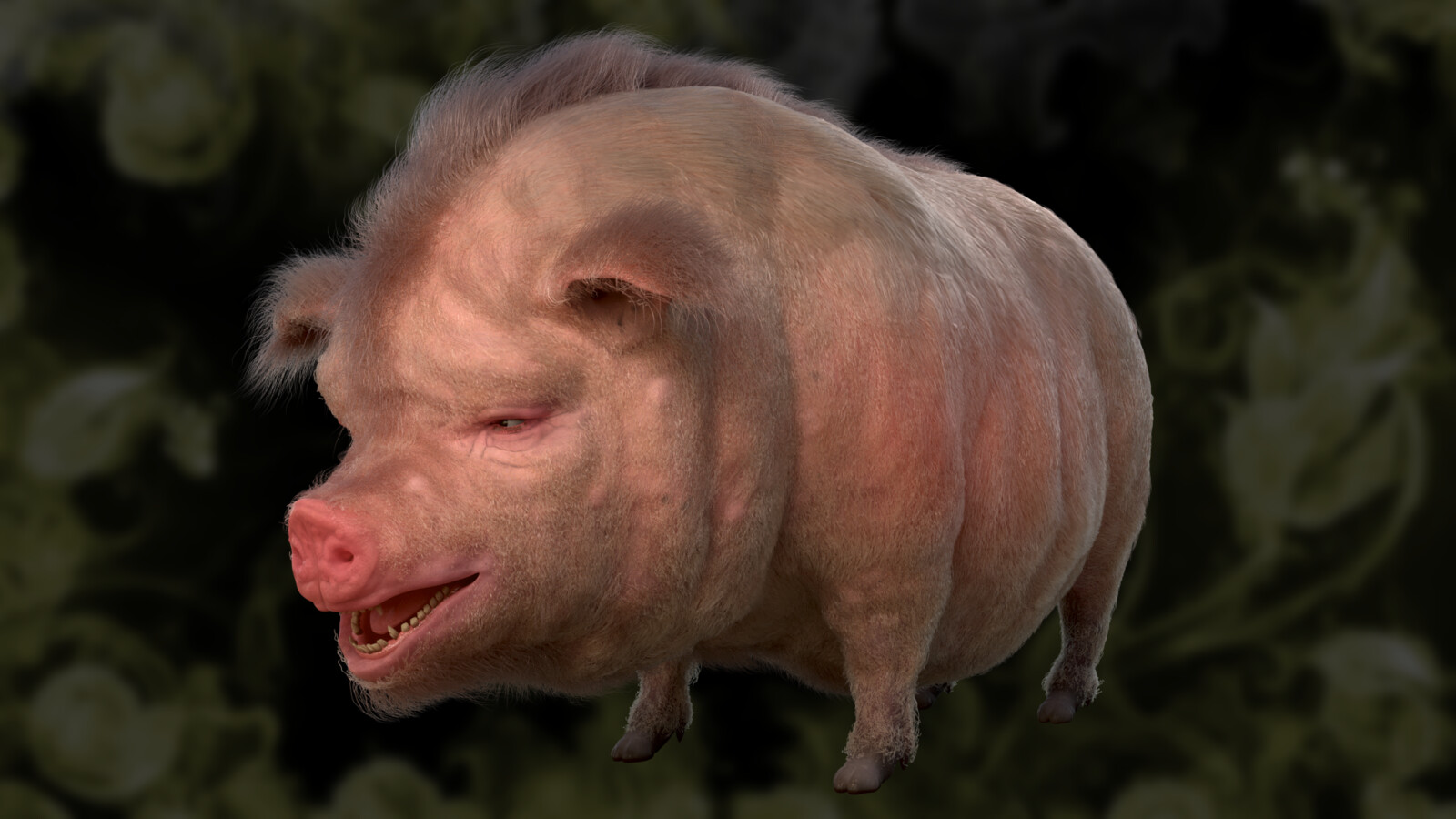 A cross between swine and wild boar. Their name is Buttercup. 