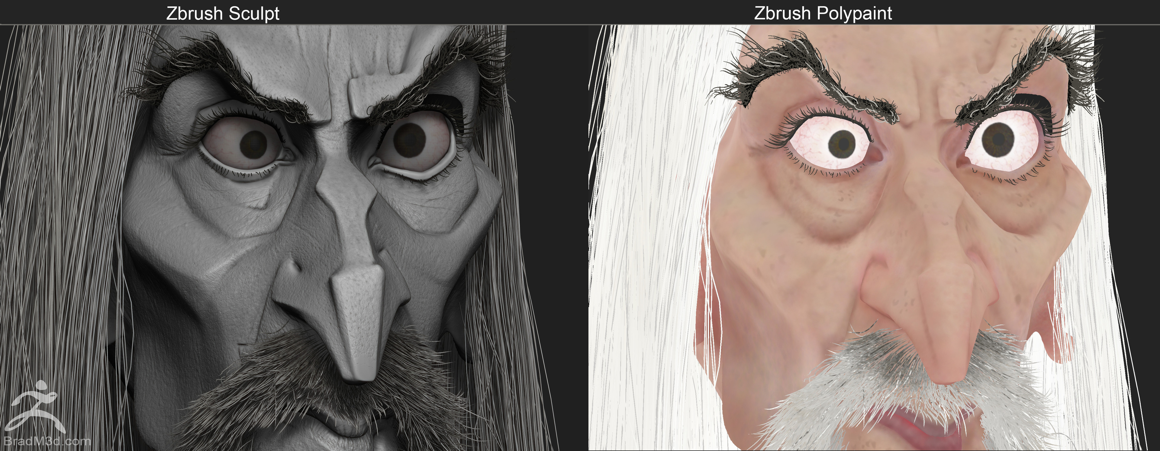 Simple Zbrush Sculpt BPR Render Closeup, and Flat Shaded polypaint demo
