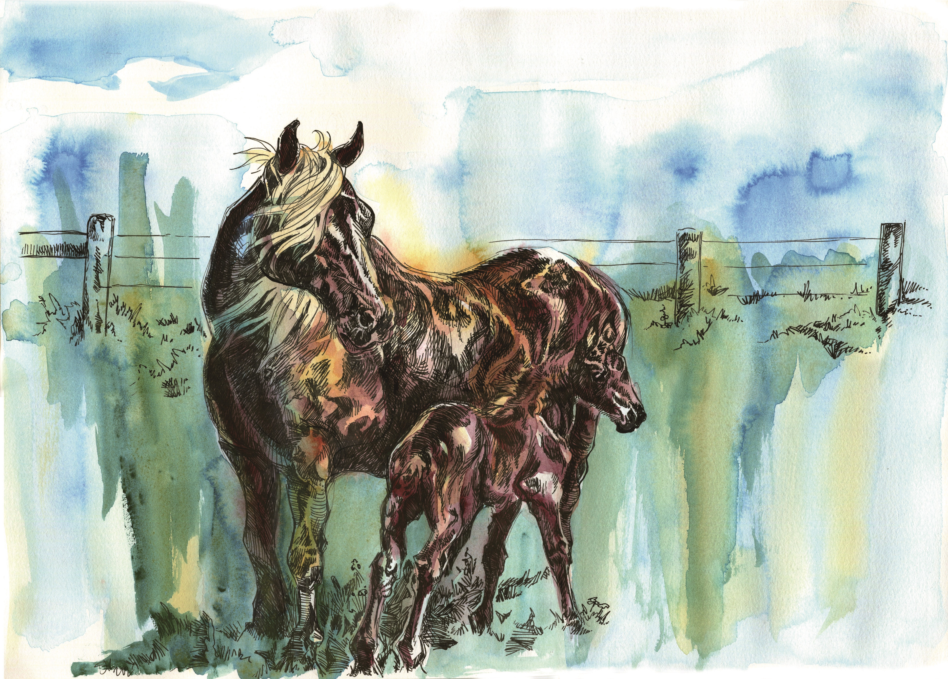 Amish horses watercolor.