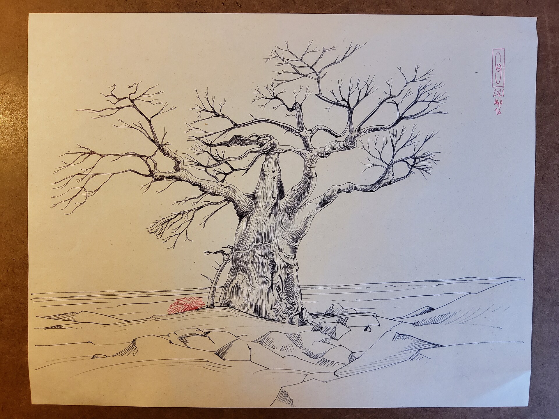 ArtStation - 2021AGO16/ Week of Sketching OLD TREES - Day7