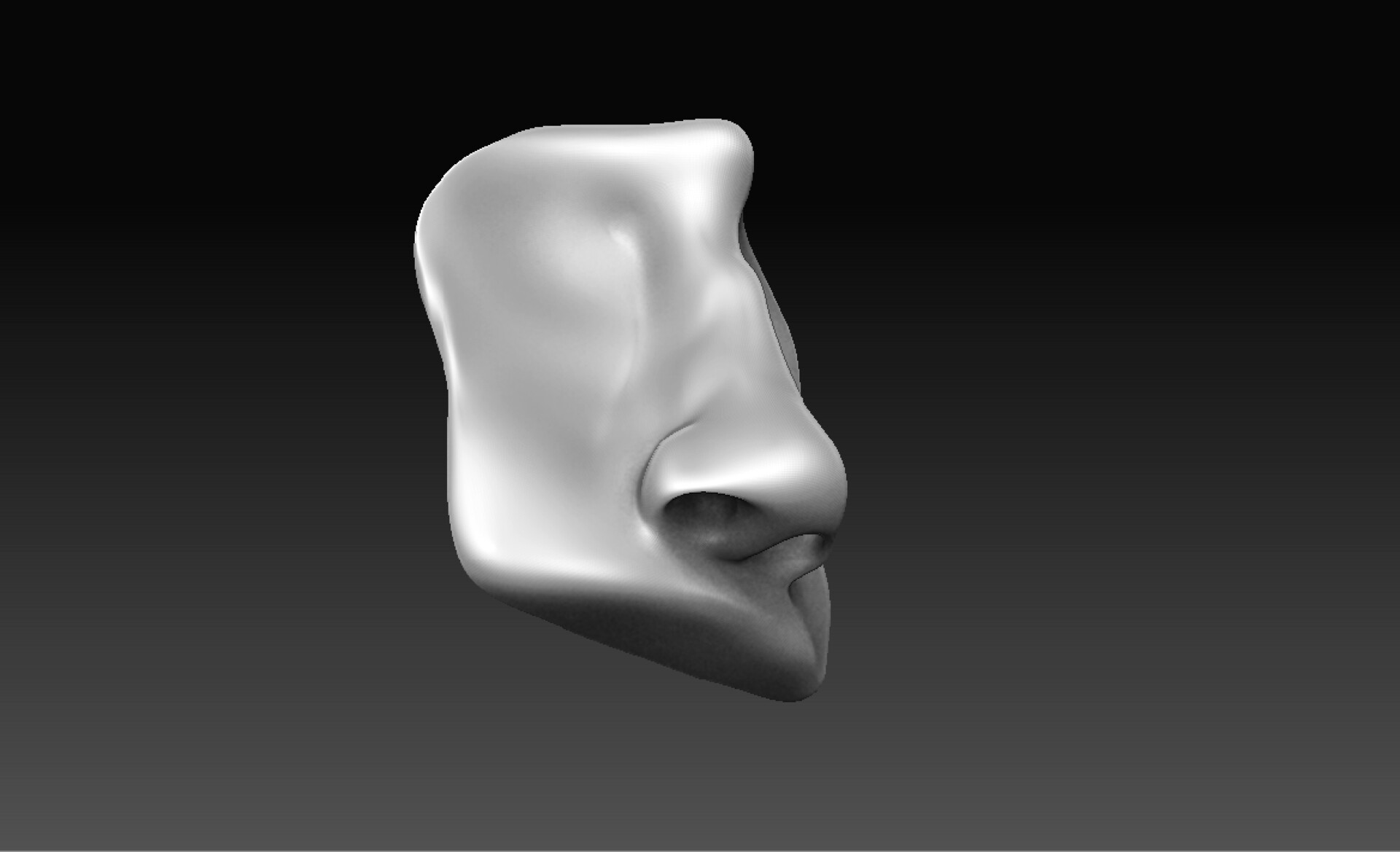 ArtStation - Anatomy practice - Nose