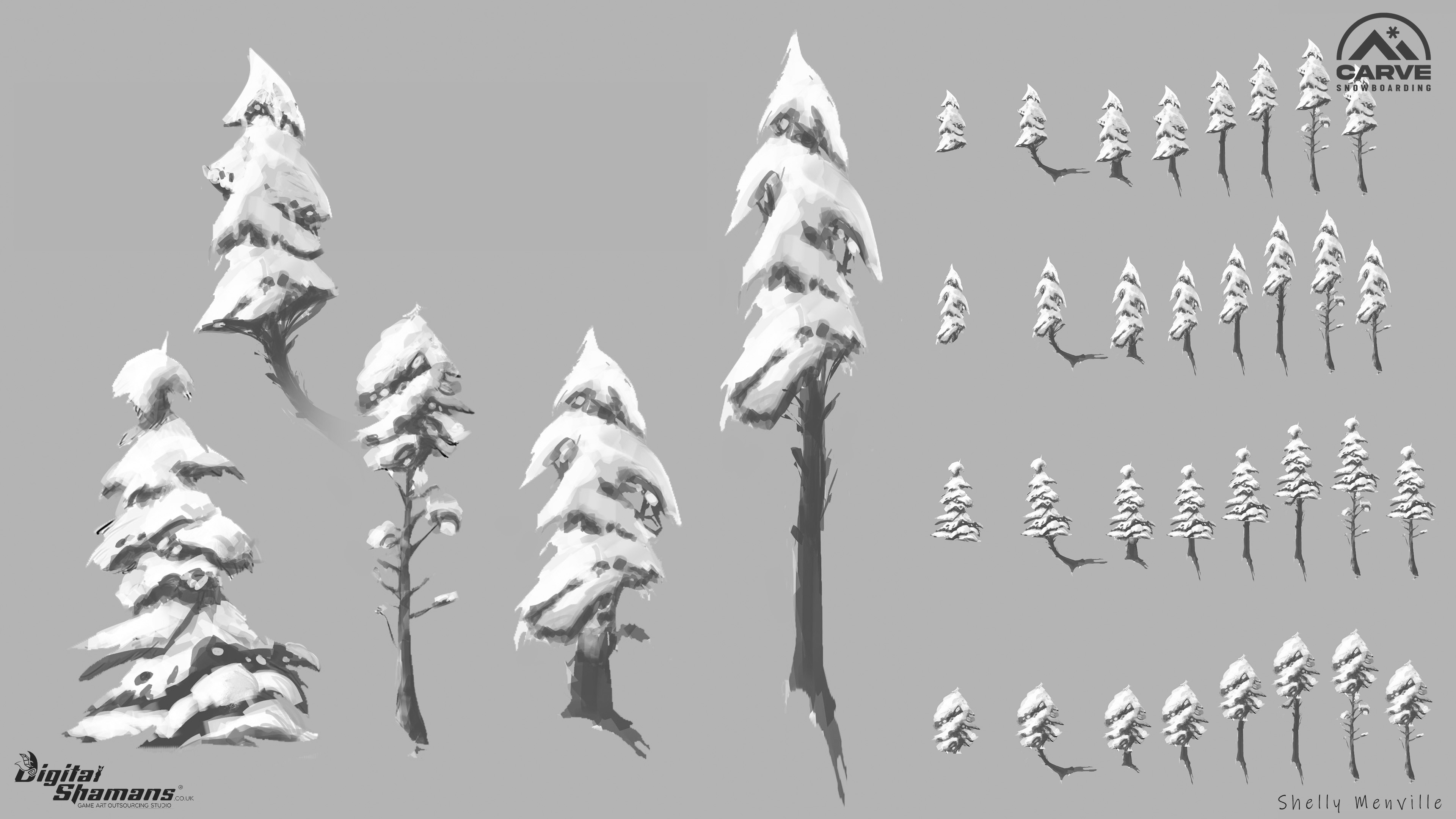 Carve Snowboarding - Enviro Assets