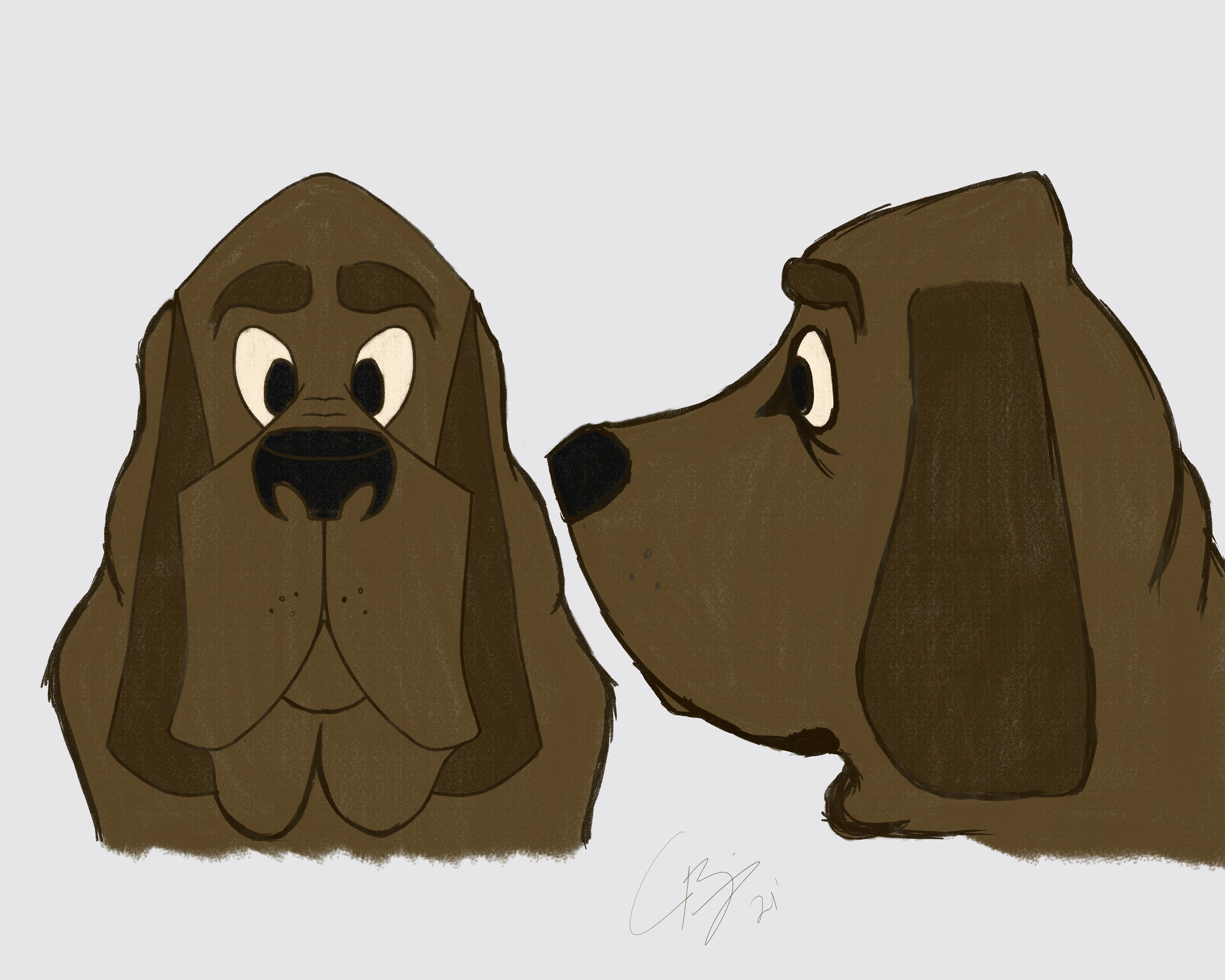 Basset hound lady deals and the tramp