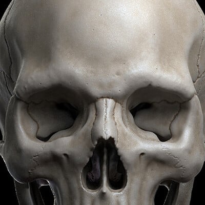 Panos cheliotis panos heliotis skull render front sml