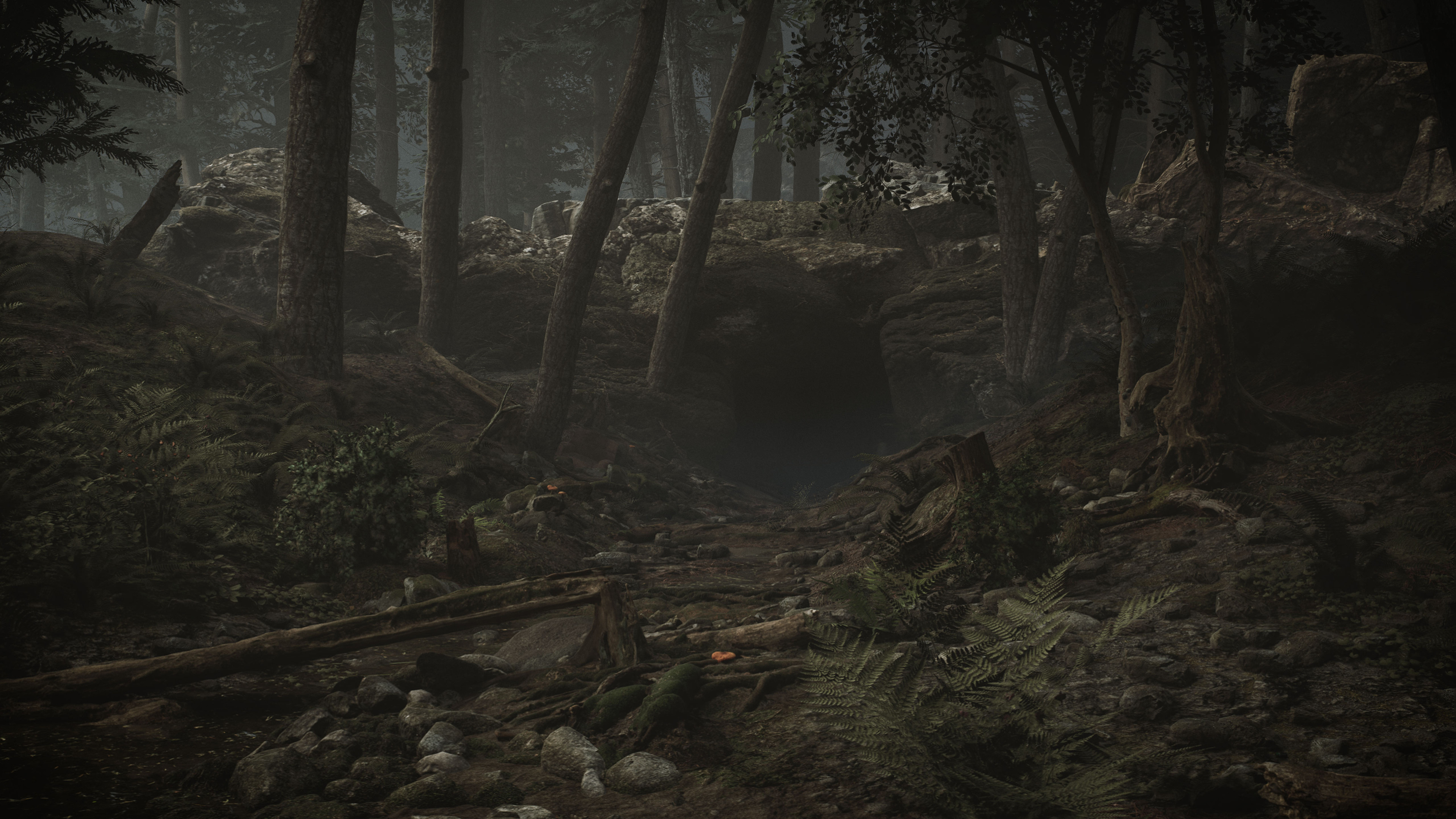 【RARE】ダーク V.A Tales From The Dark Forest Tales from the dark Forest 2 - Compilation by Various