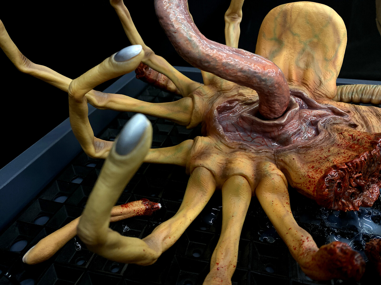 Damage Alien Facehugger 1:1 scale life  size Wall-Hanger
https://www.solidart.club/