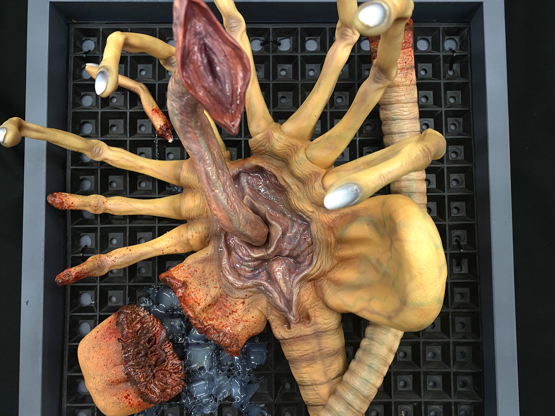 Robin Kwok - Damage Alien Facehugger 1:1 scale life size