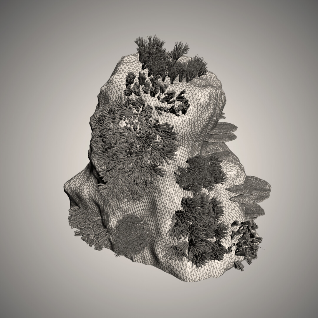 Coral Reef