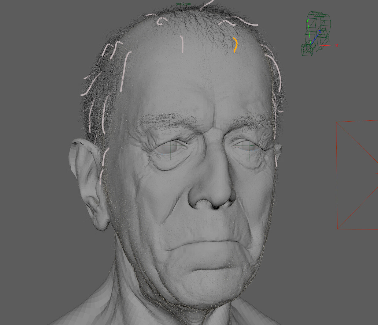 Maya scene and xgen setup