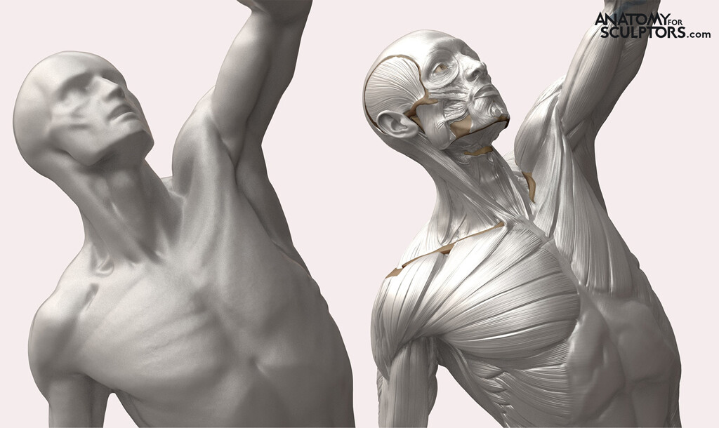 Torso of L'écorché combattant – the digital model beside the original plaster cast