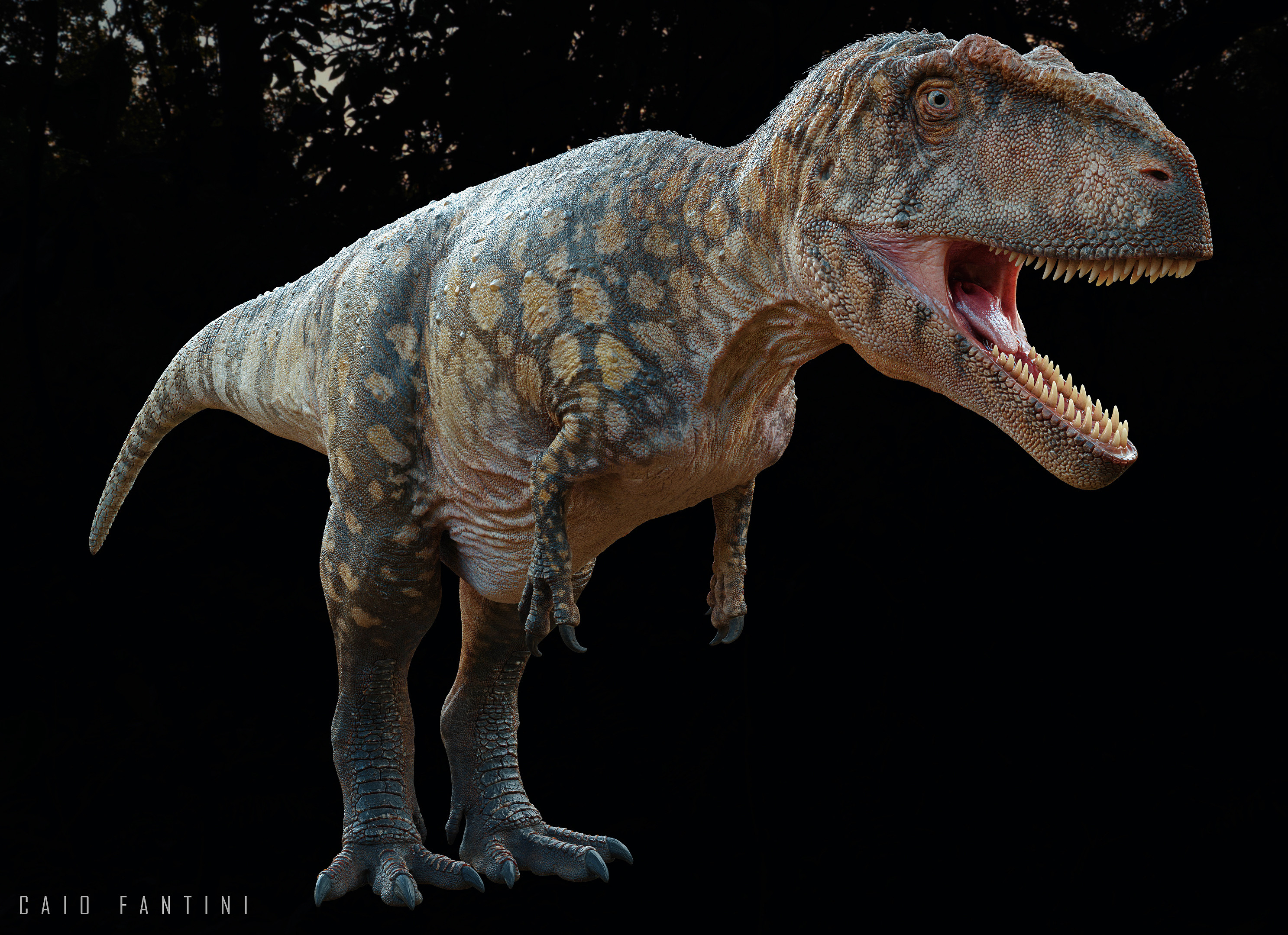 Caio Fantini - Mapusaurus