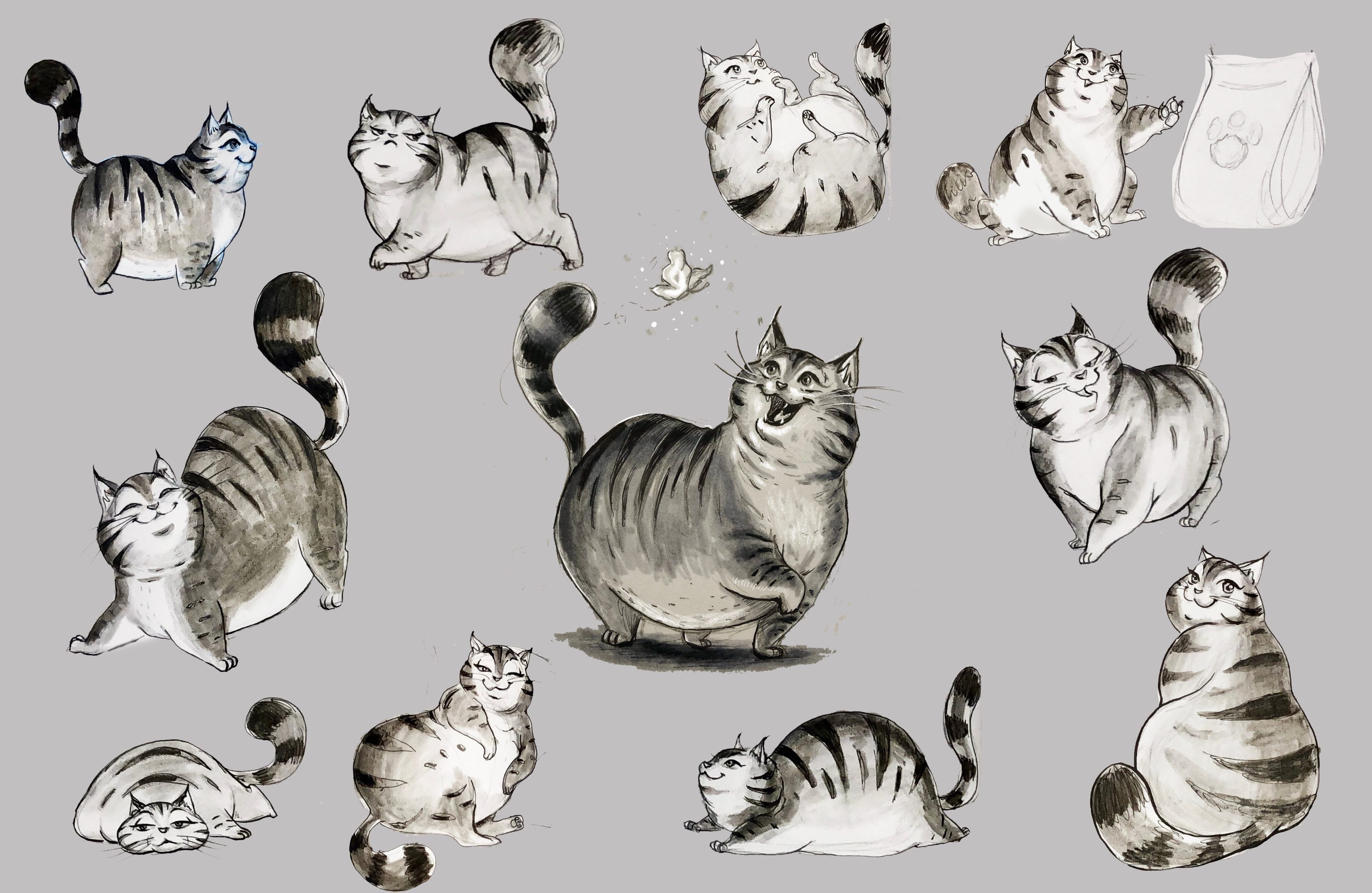 Download Cute Fat Cat Drawing Version  Drawing PNG Image with No  Background  PNGkeycom