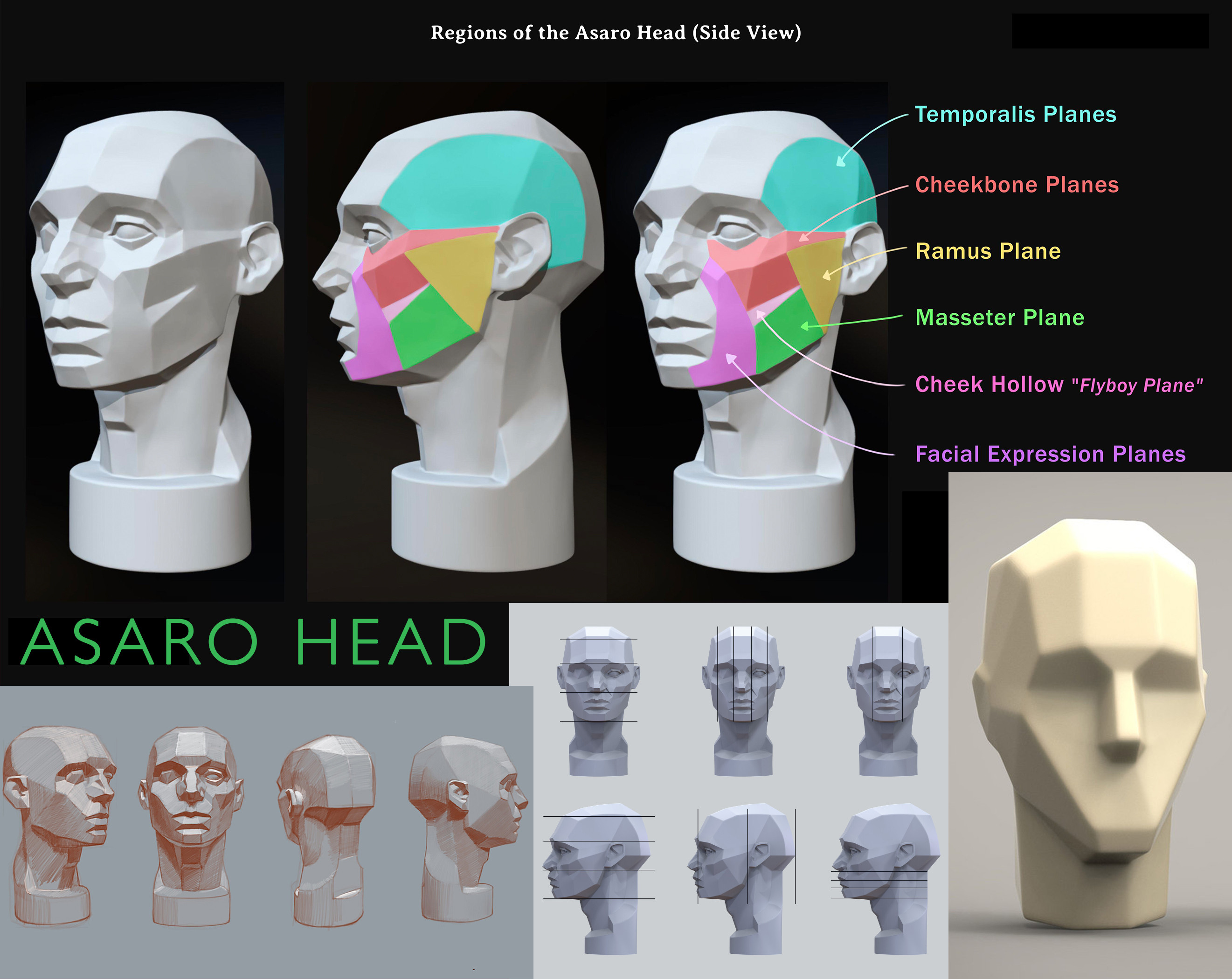 The Asaro head. A training manikin. Memorize the planes of the head. Front, back, side , top and bottom.