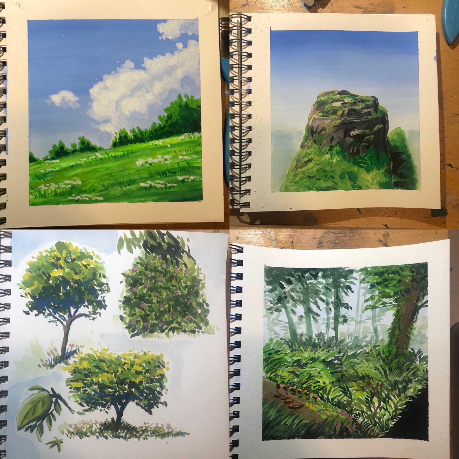 Sketchbook sketches in nature. gouache sketches — Hive