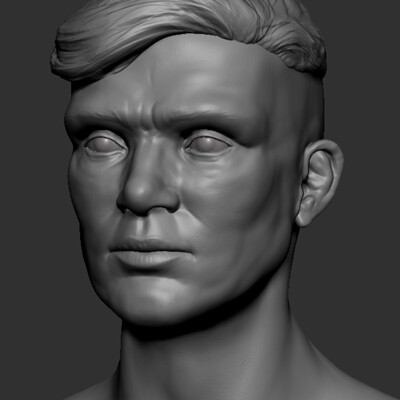 Thomas Shelby - Facial anatomy study