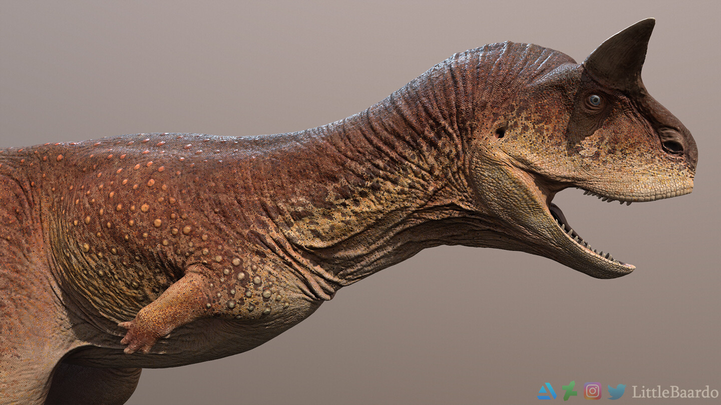 Close up of the textured model.