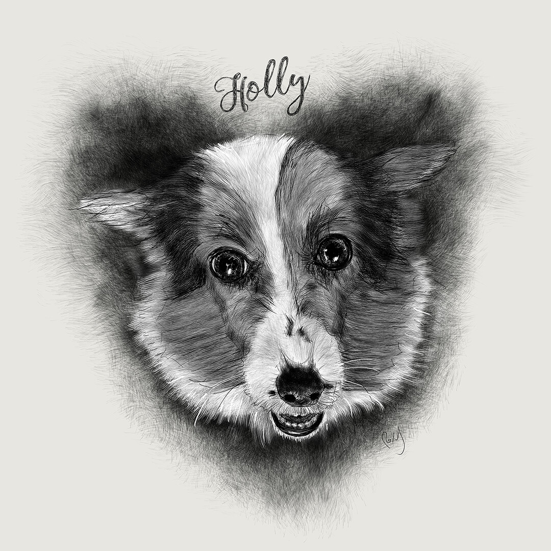 Pet Portrait