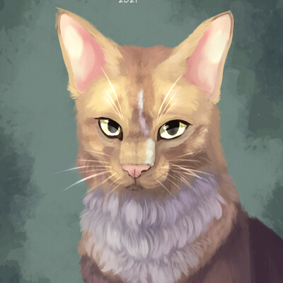 Jayfeather(Warrior Cats) Bluejay_Symphony - Illustrations ART street