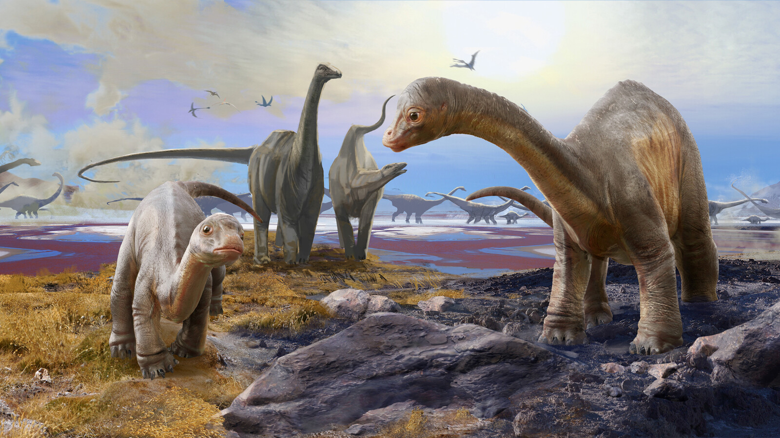 Dioramas