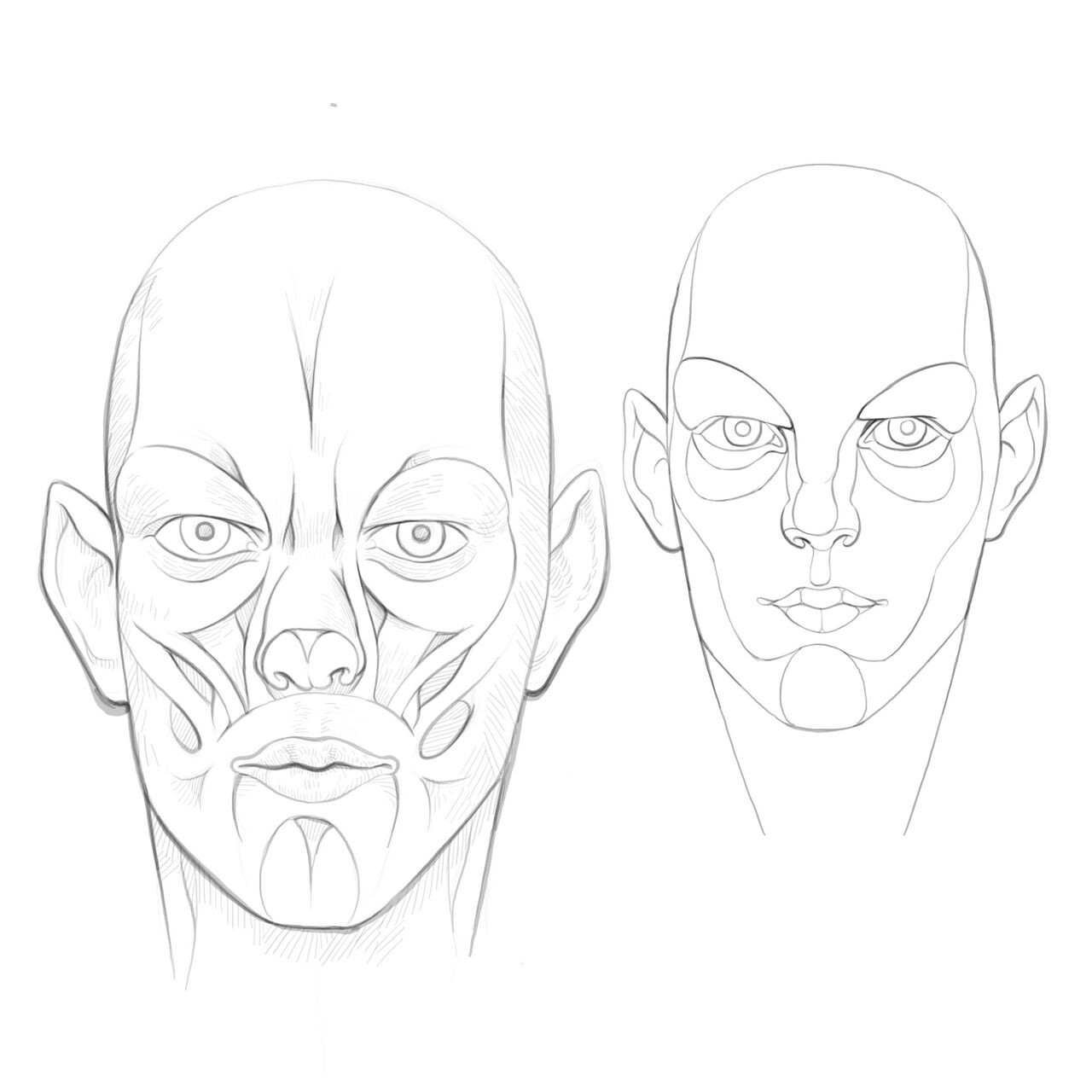Trying to remember the muscles of the face. 