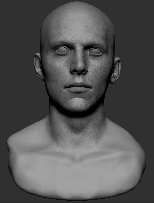 MaxaroniandCheese Male Head Bust Practice 2