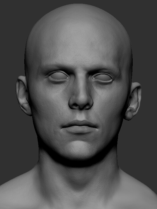 MaxaroniandCheese Male Head Bust Practice 2