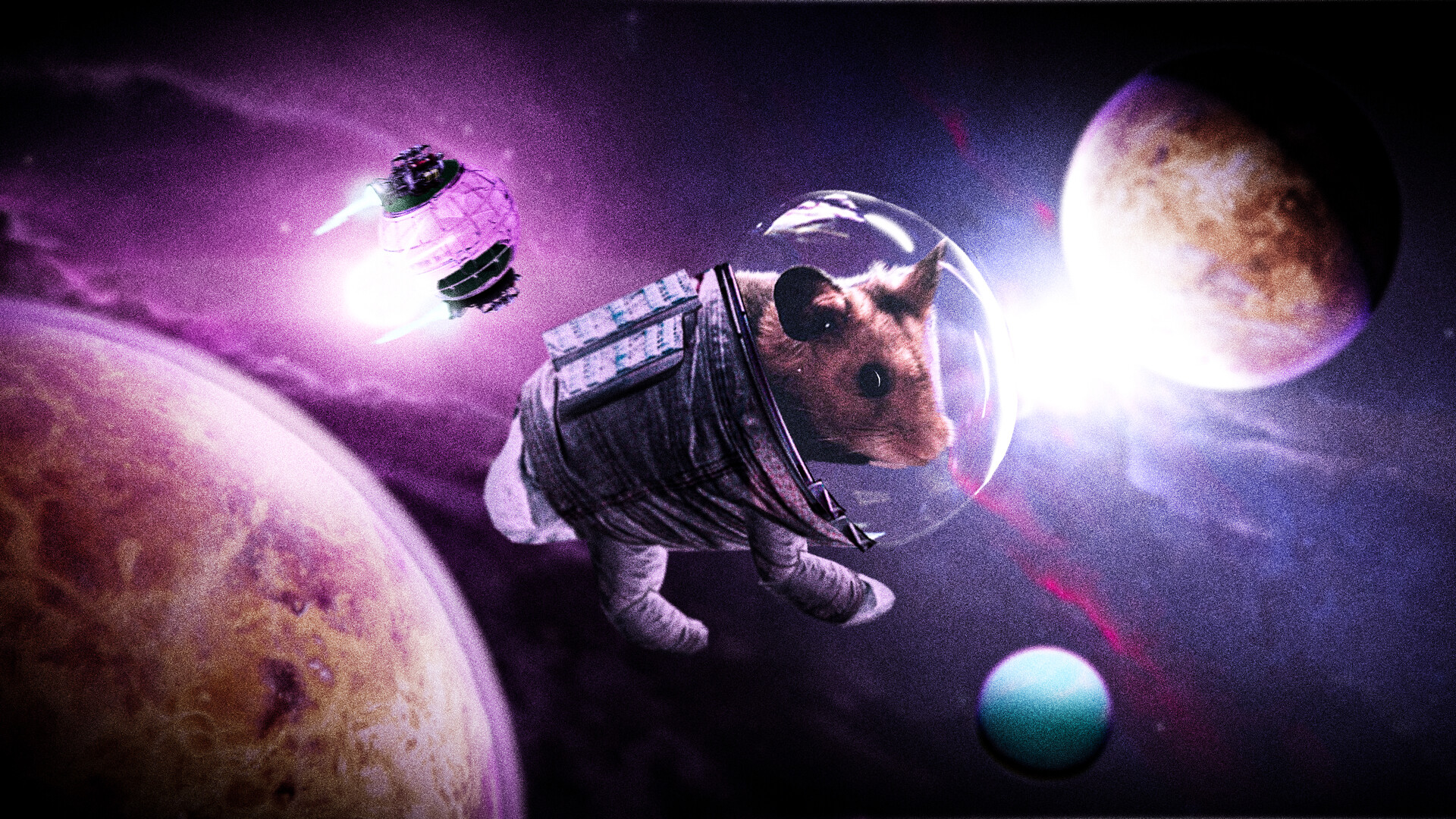Hamster space hotsell