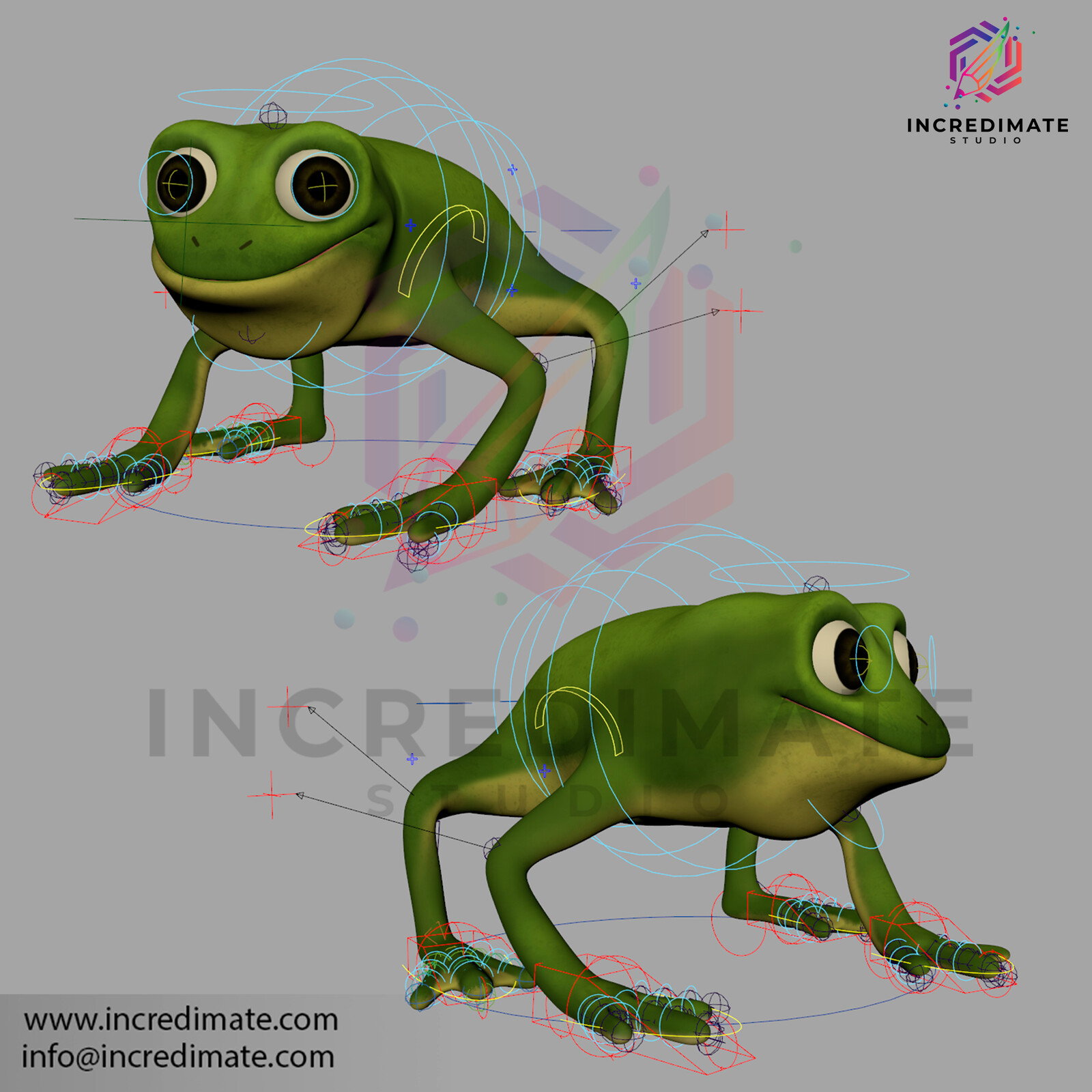 3d Rigging of a frog character