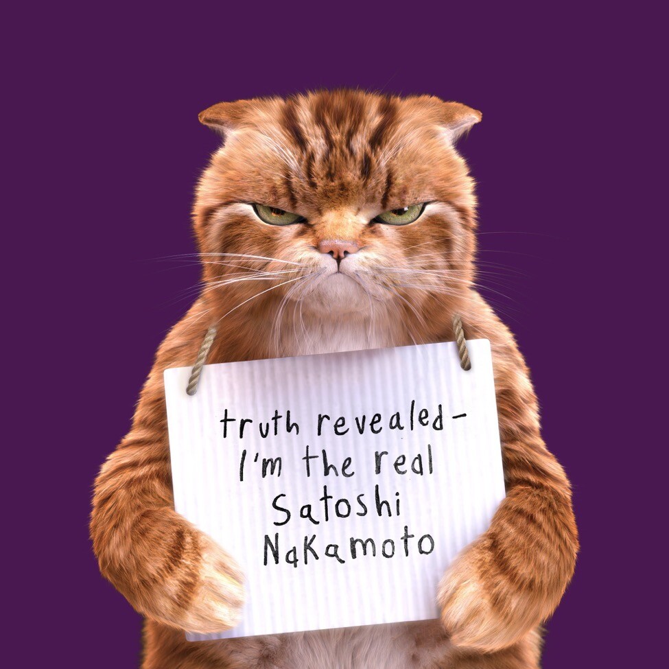 Iamakittycat memes