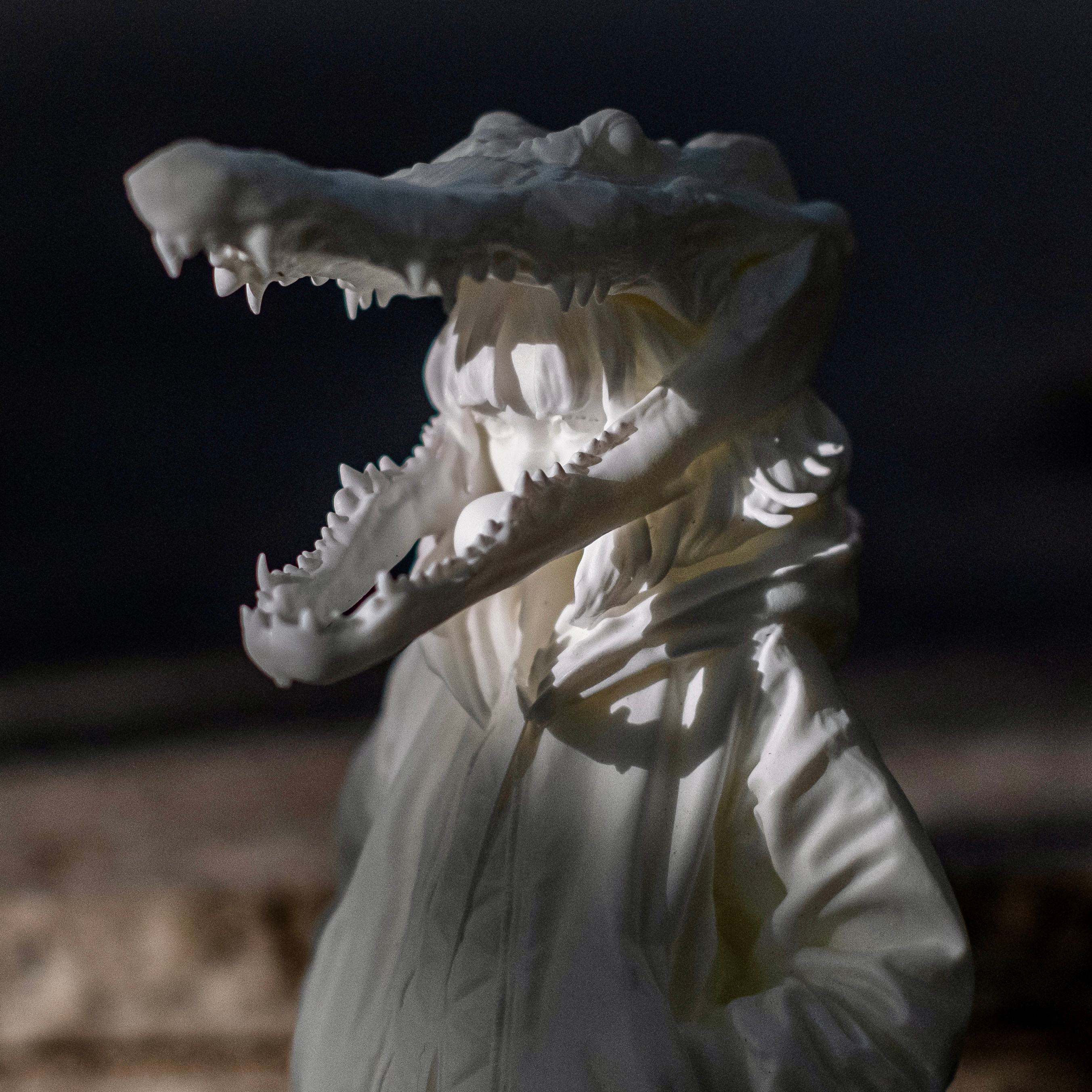 Entei Ryu - Crocogirl Garage Kit