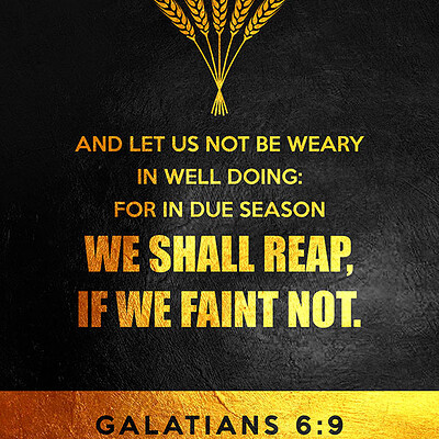 Abconcepts galatians 6 9 saatchi small