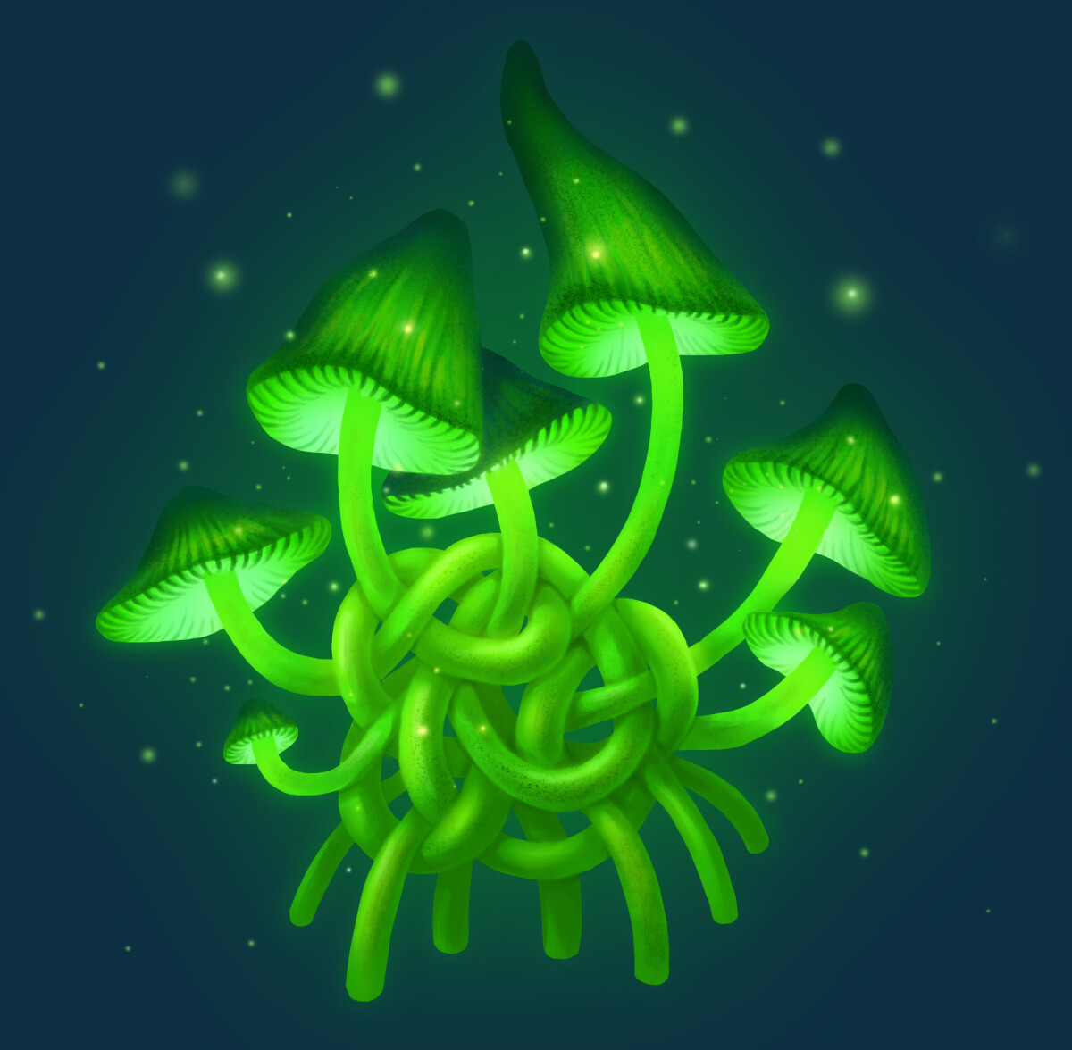 Knot
