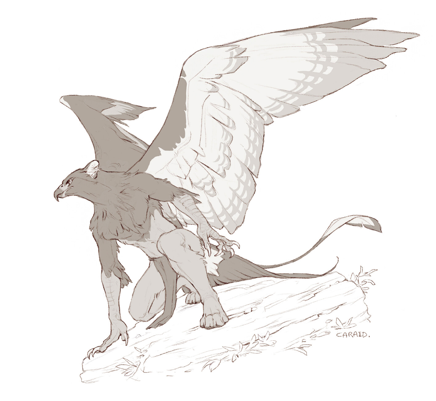 Day 7: Gryphon