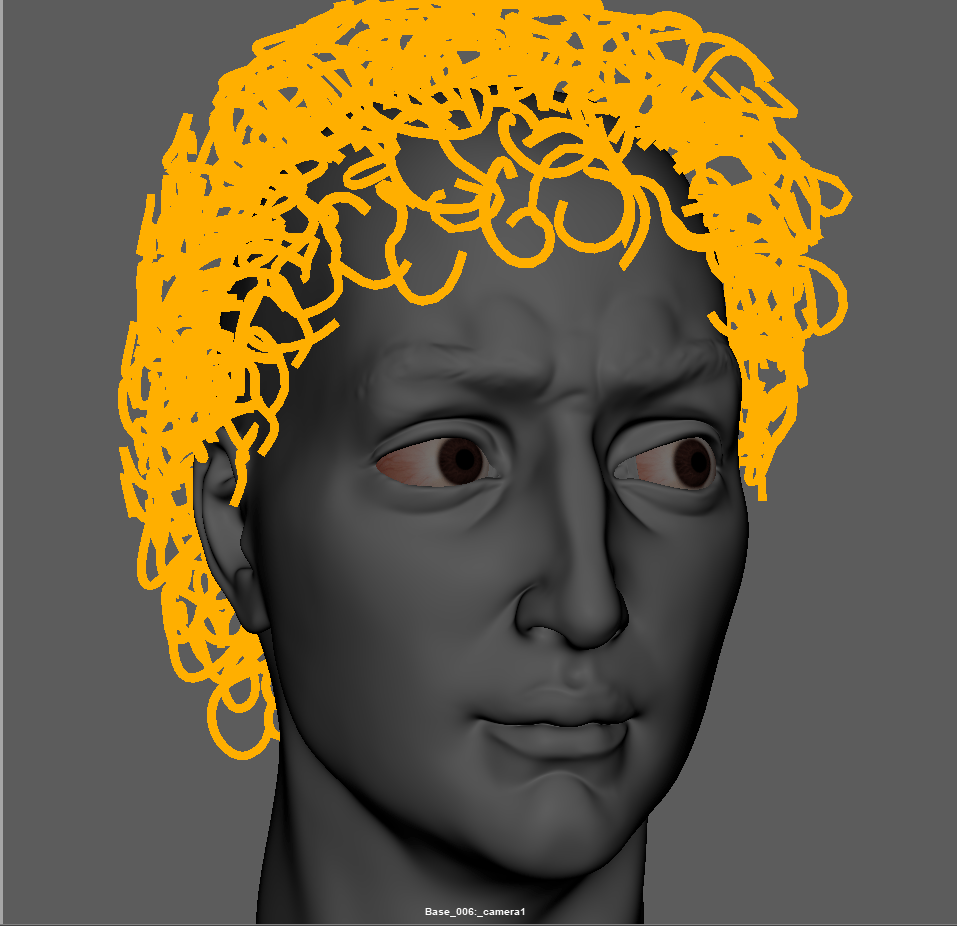 Poonam Raturi Michelangelo David