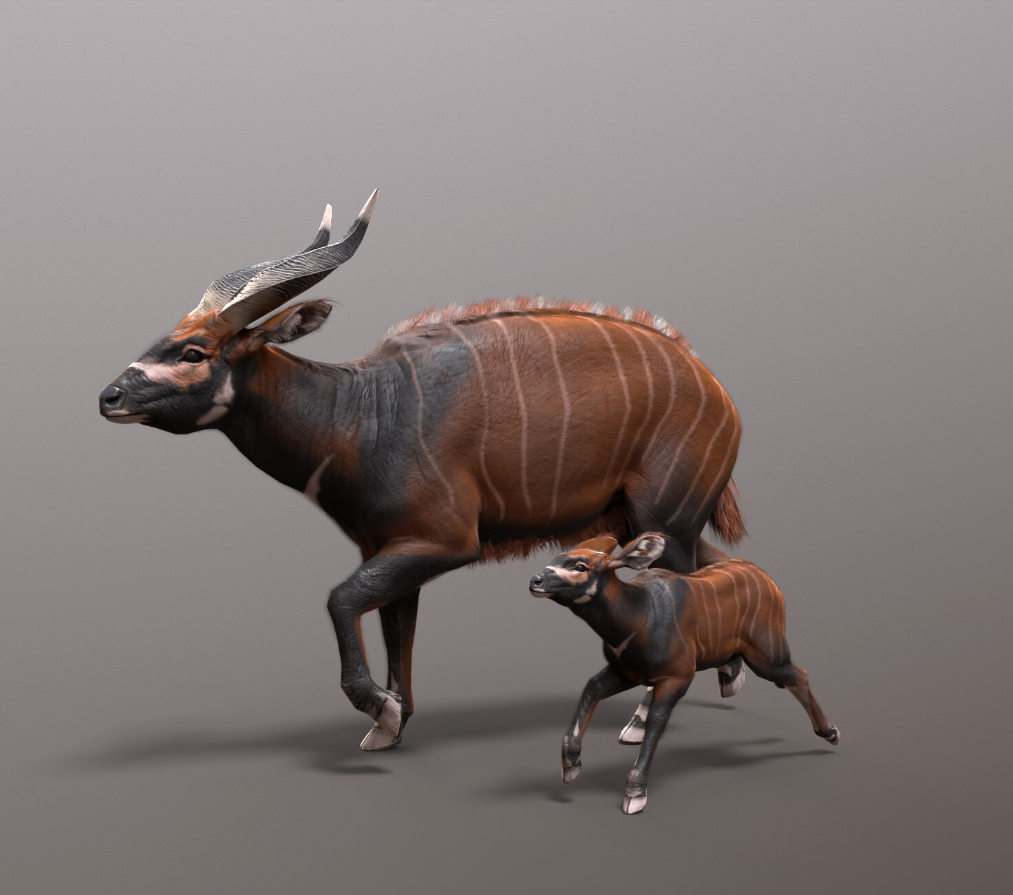 ArtStation - Bongo Antelope and Baby Study