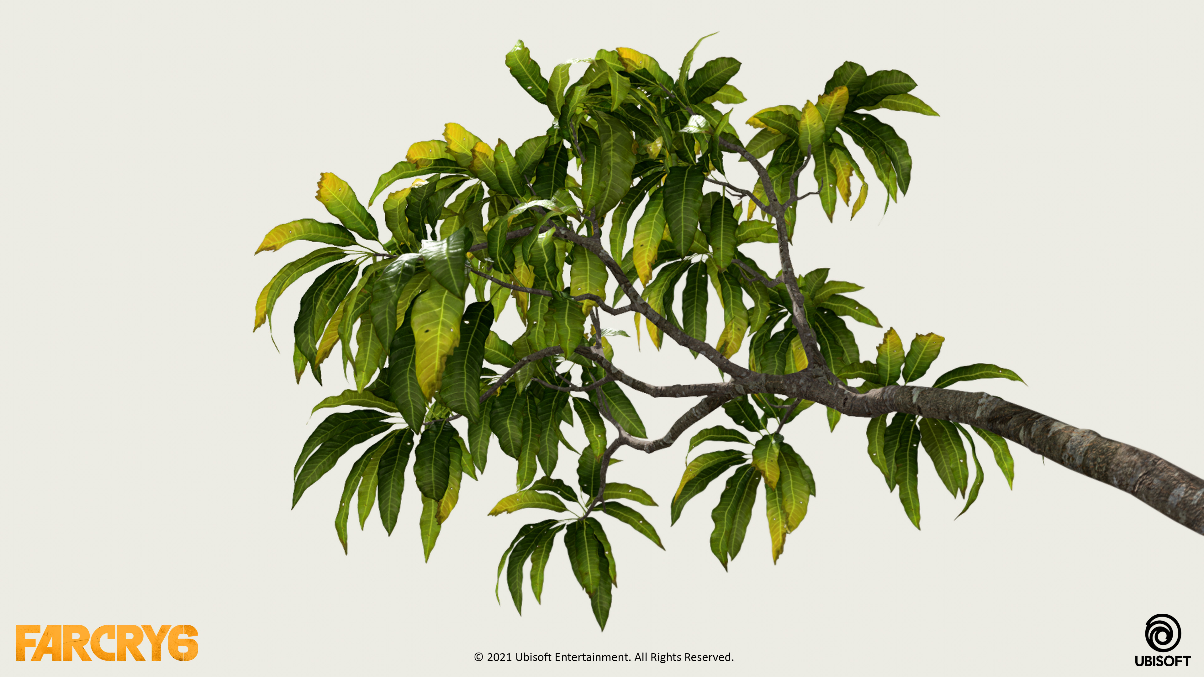 Alexandra (Sasha) Kornilova Far Cry 6 Biomes Mango