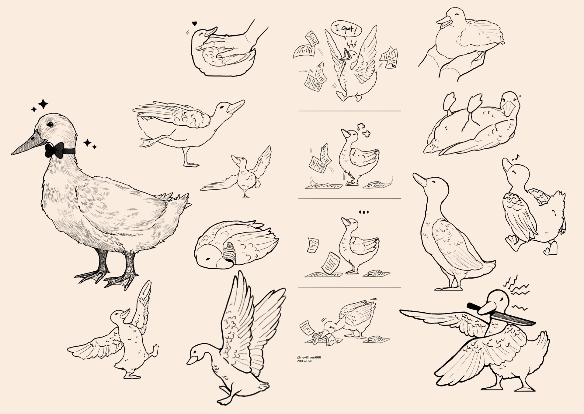 ArtStation - D1: The Mighty Ducks