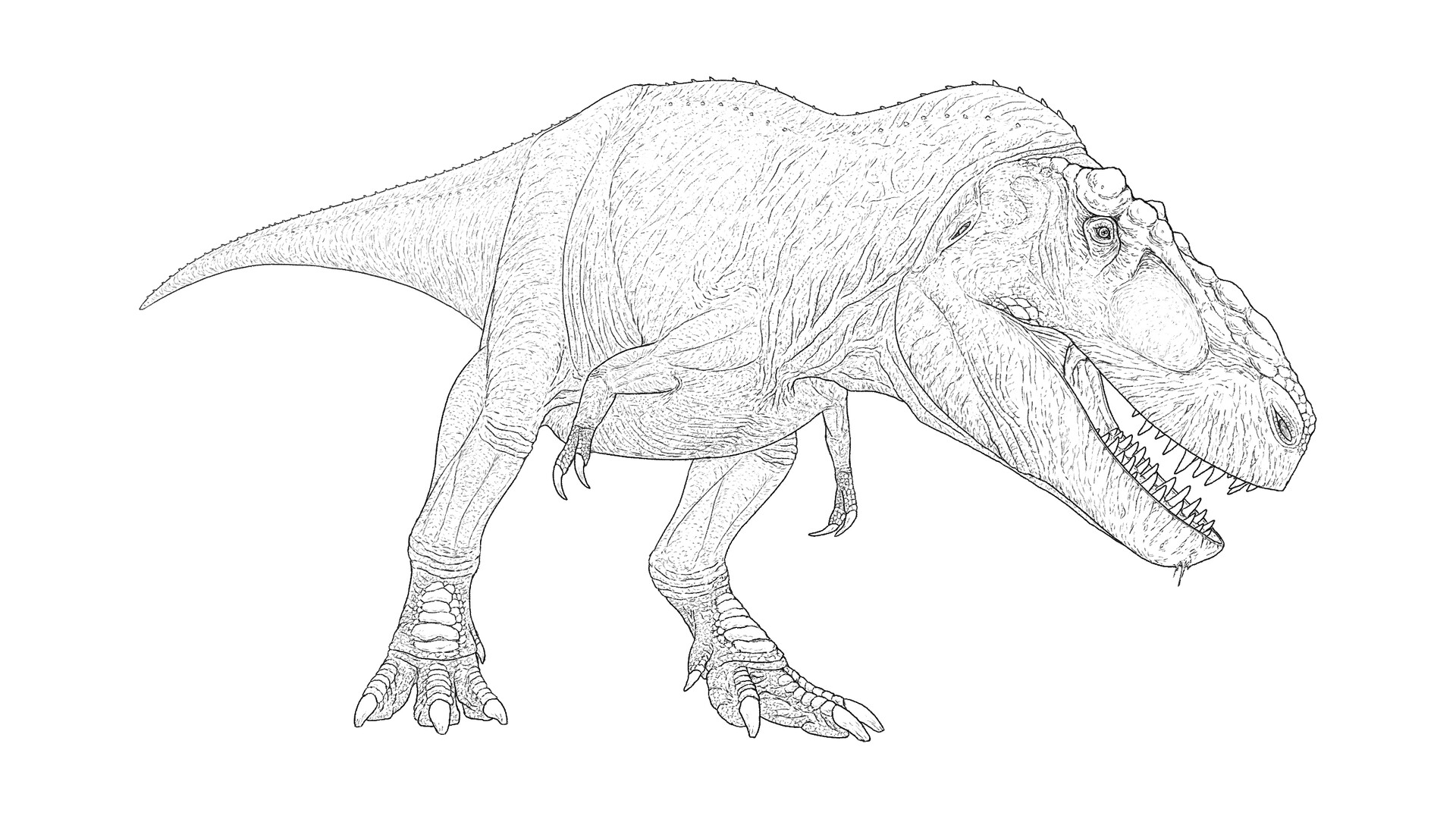 Matt Dempsey Dinosaur Line Art