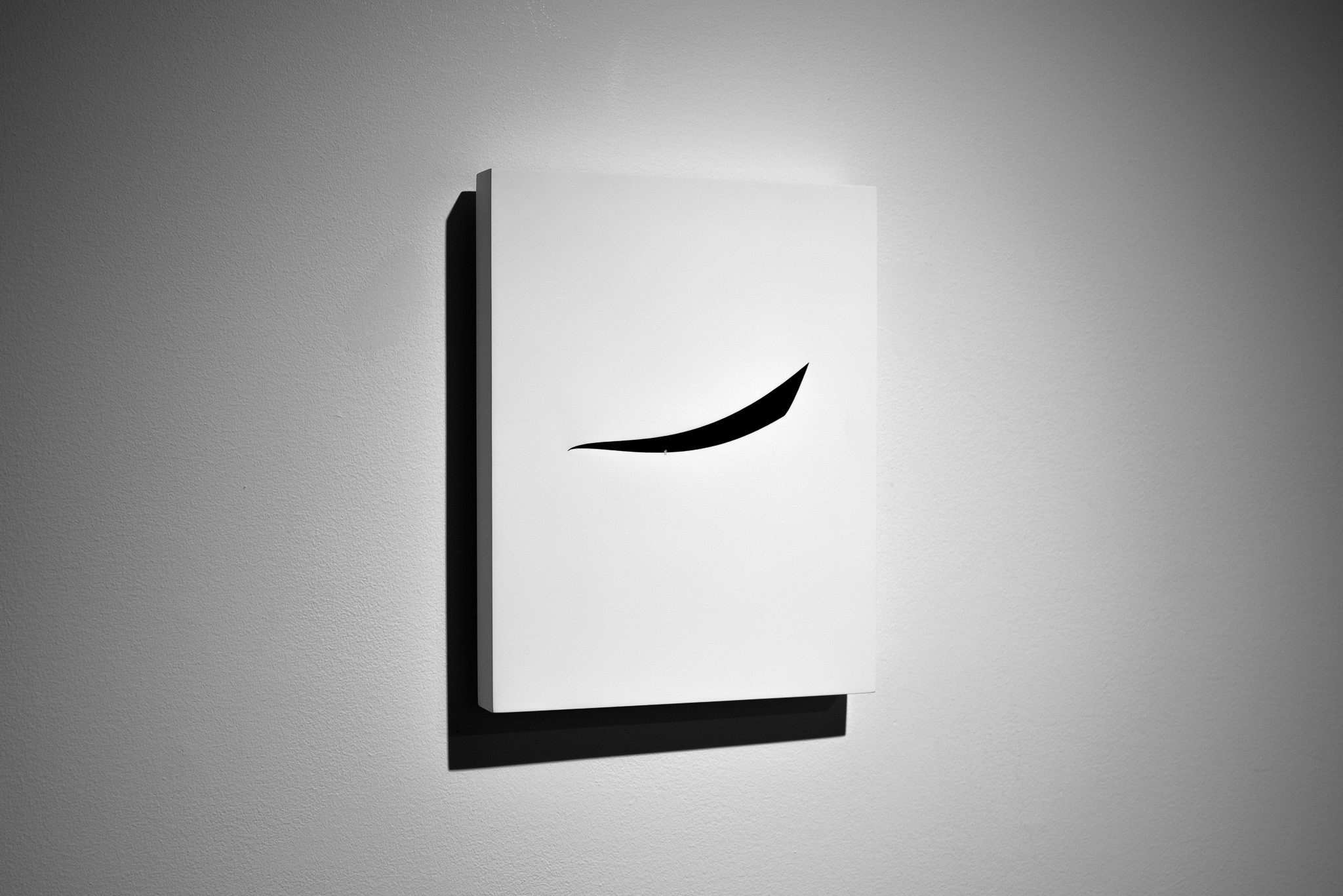 Panel is cut and backed with black fabric to create a light trap. 