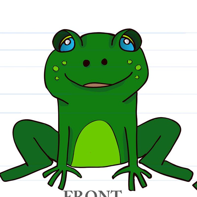 Frog character Turnaround