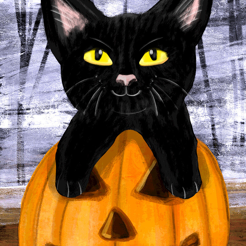 Halloween Cat