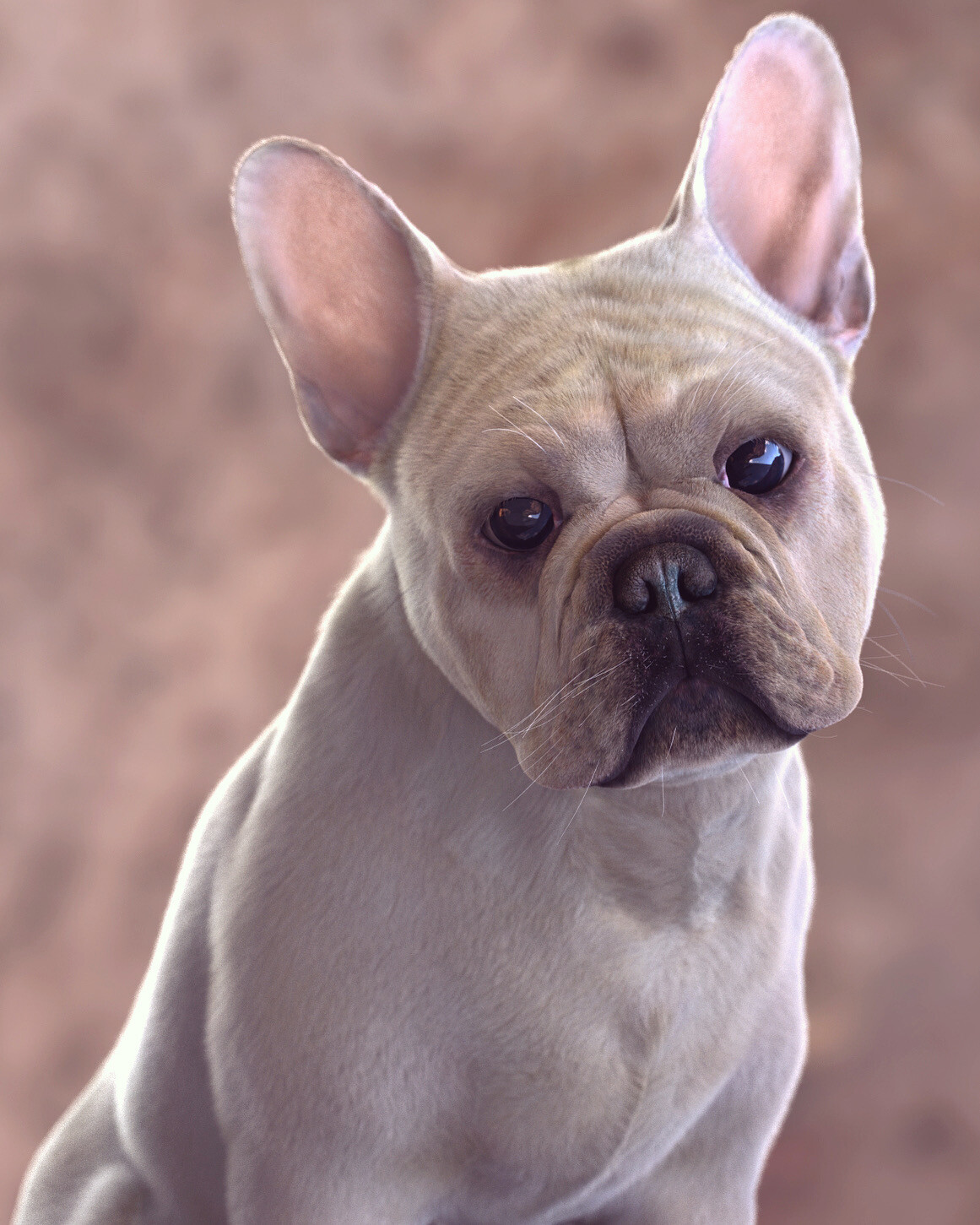 Frenchie portrait #01