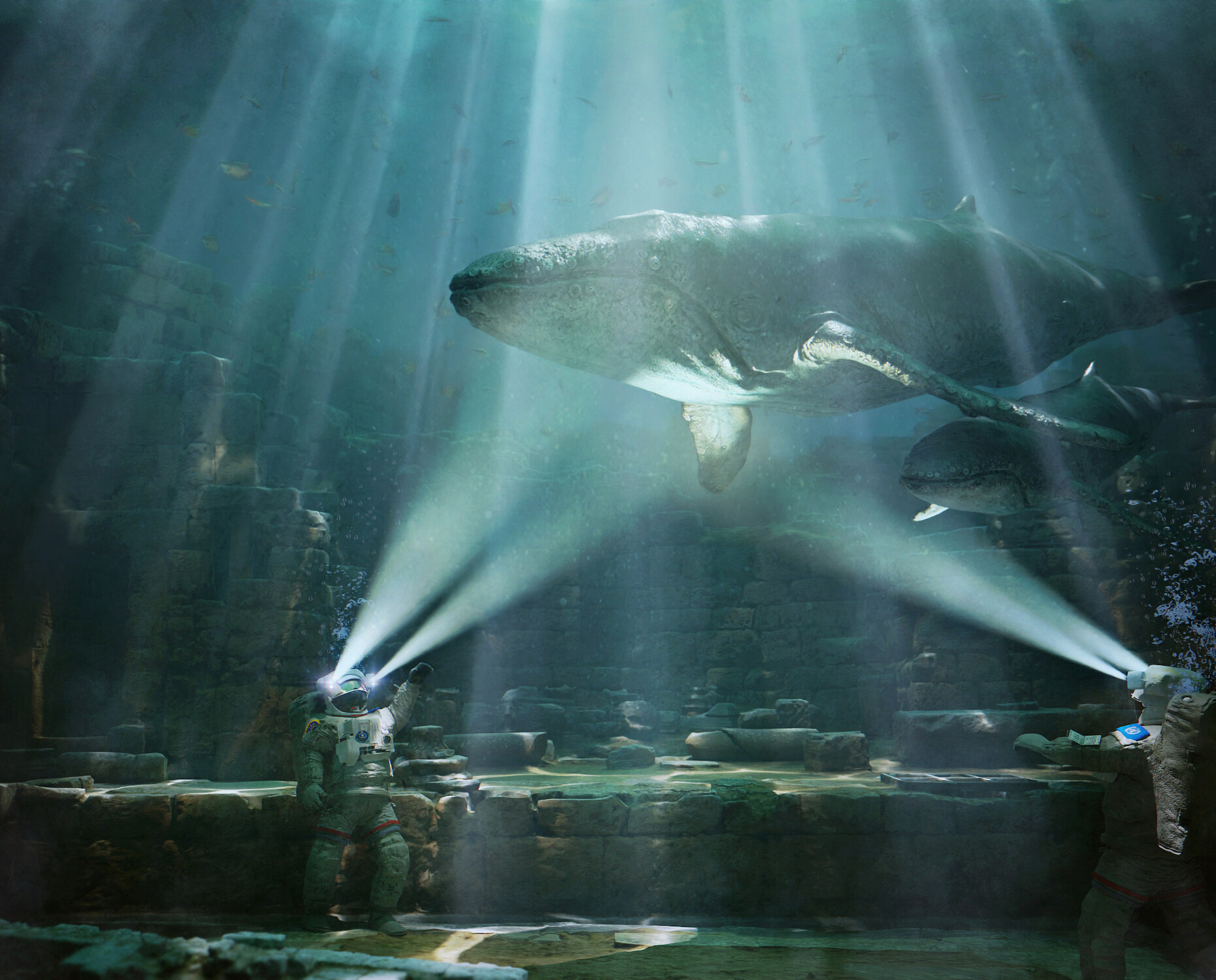 White Shark - 3D Model by adriankulawik