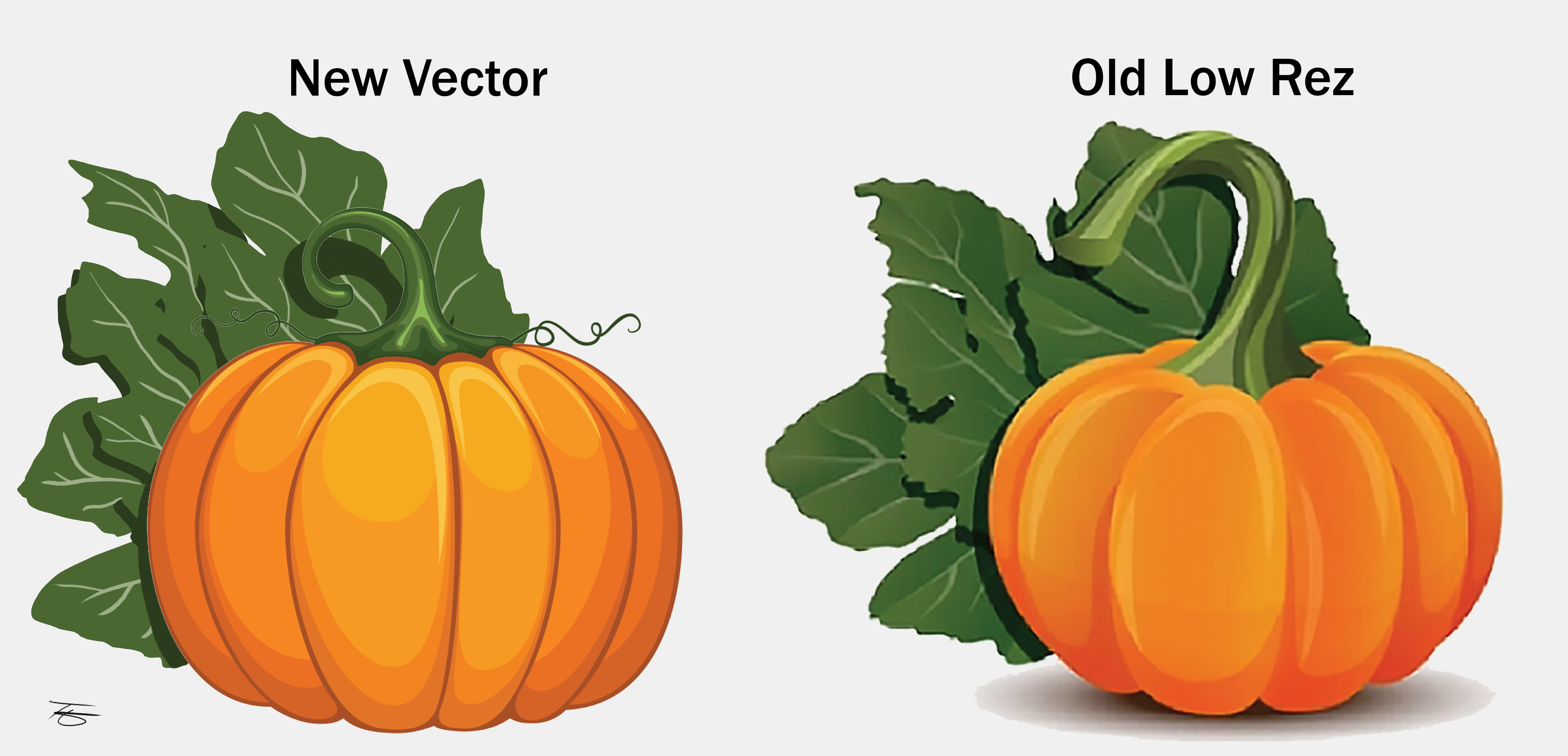 Pumpkin Vector
