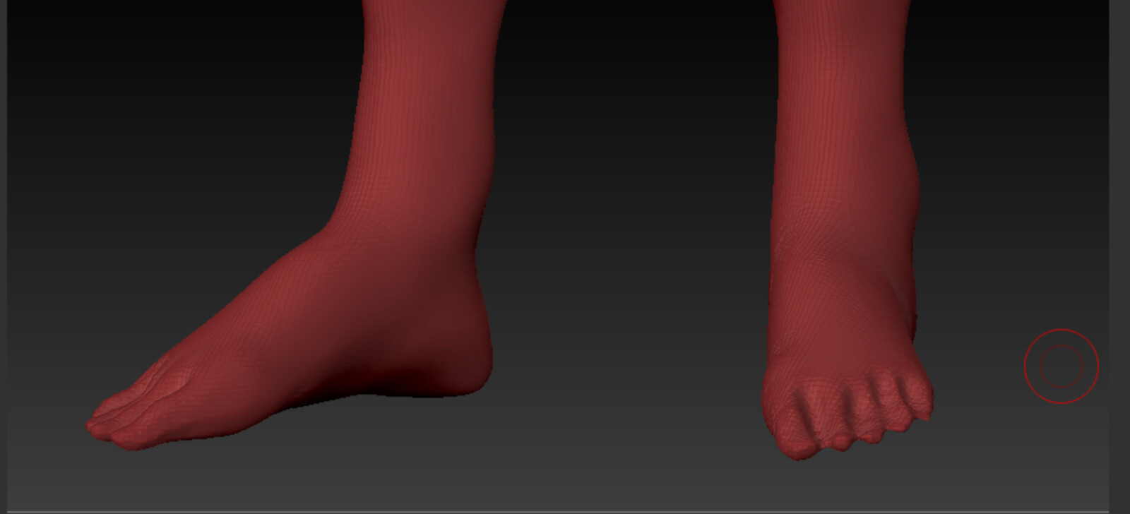 Feet sculpt, three-quarter view 