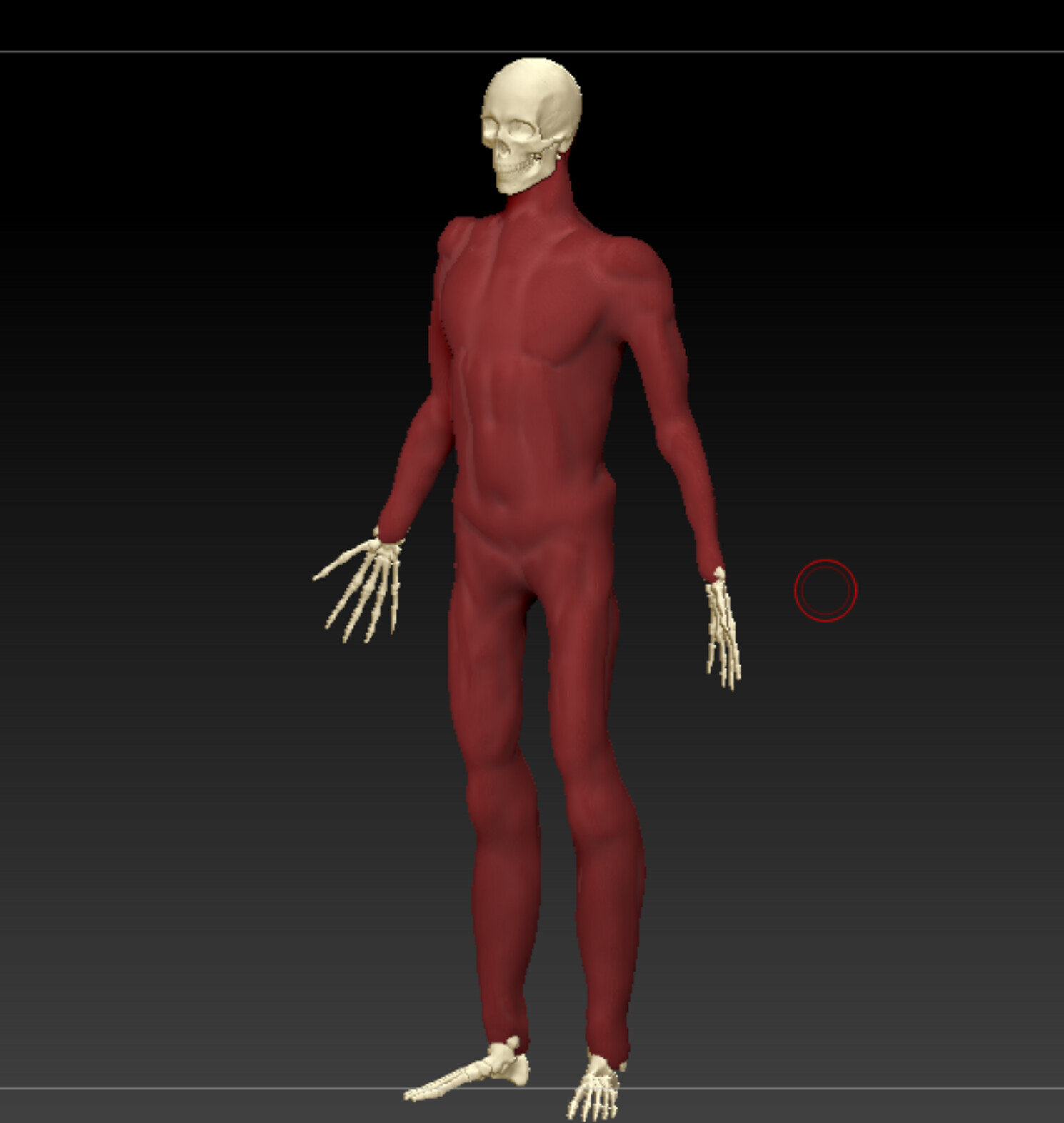 Alpha skin sculpt, three-quarter view 