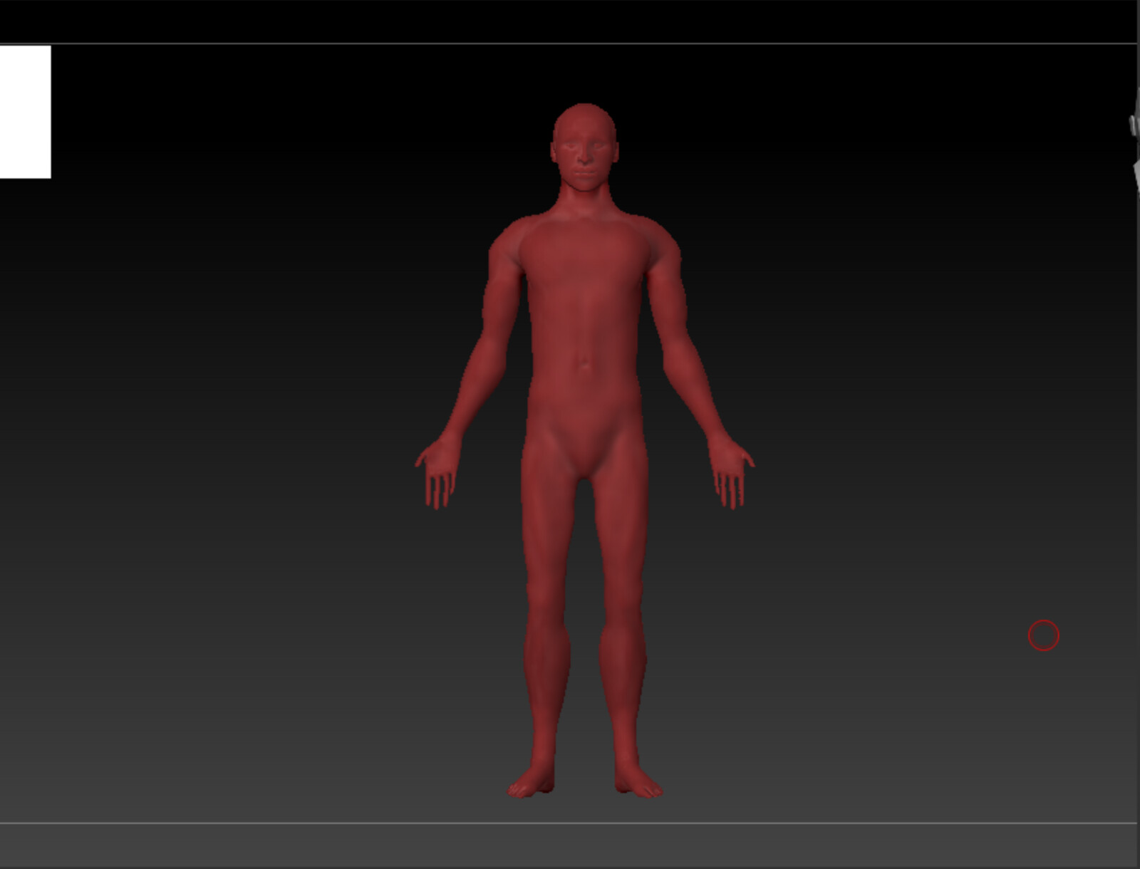 Final skin sculpt, front view 